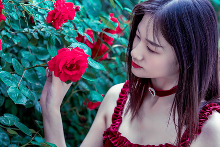 香港青年国际法律人才“带路行”活动启动